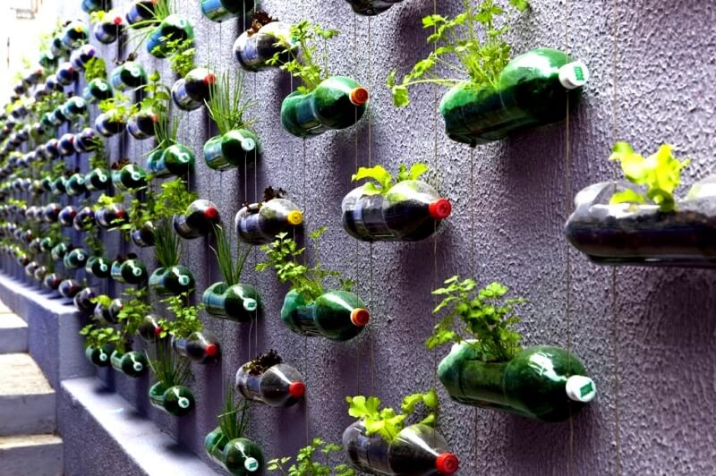 cirkularni-brno.vertical-garden-made-with-soda-bottles-brazil-rosenbau