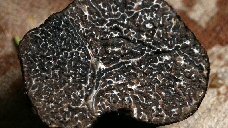 winter-truffle-gbb3f52c29_1280(1)