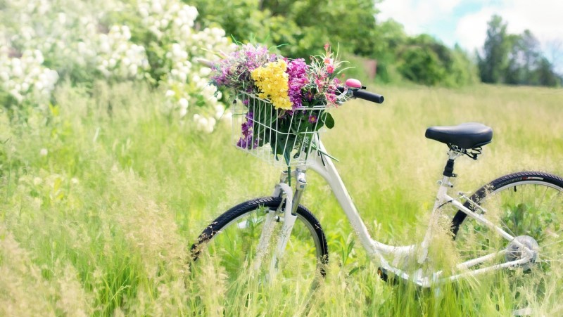bicycle-kolo-venkov-louka-kvetiny